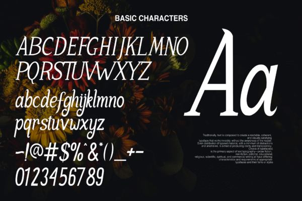 Nabilans - Modern Serif - Gambar 9