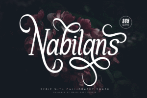 Nabilans - Modern Serif